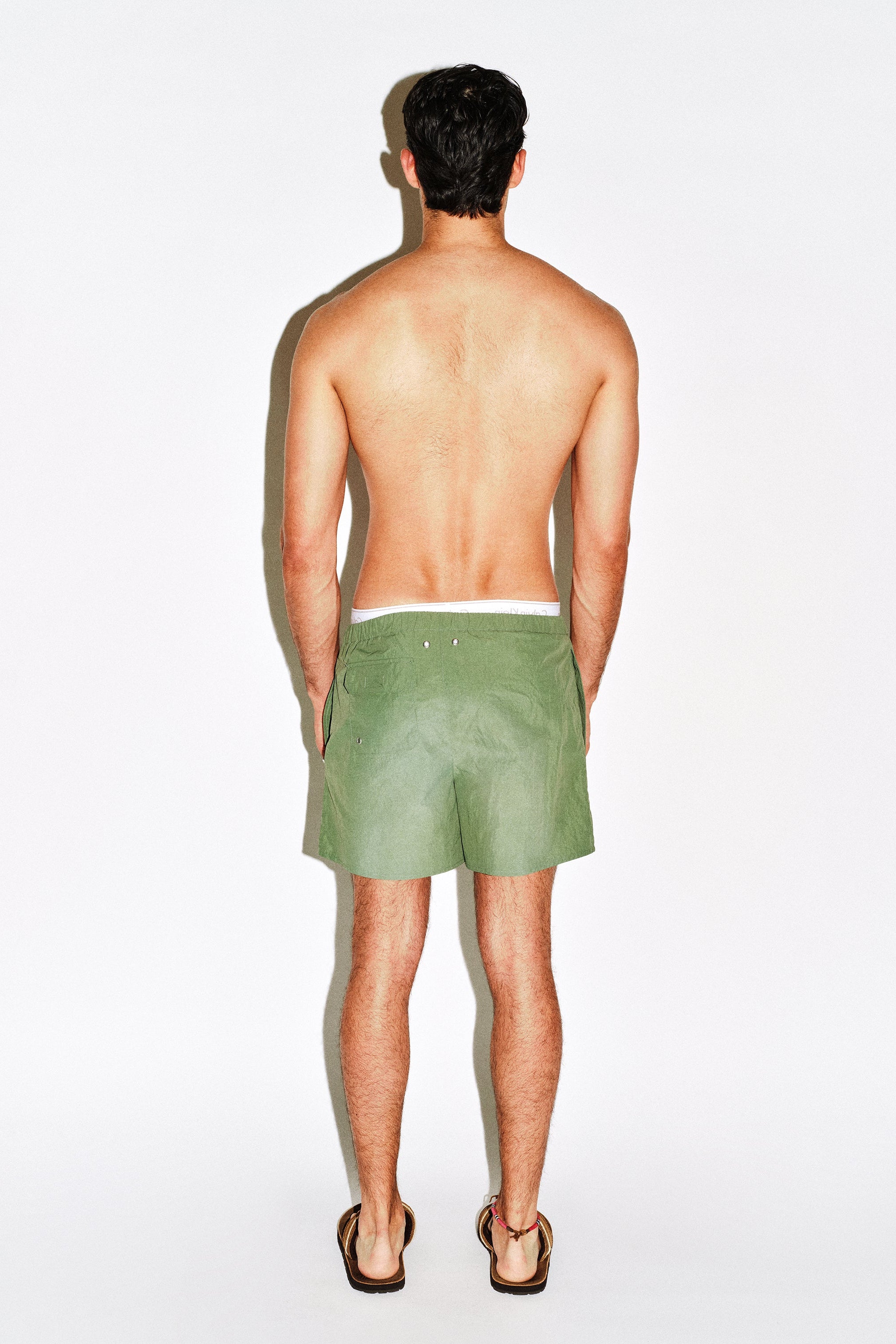 Sunfaded Green