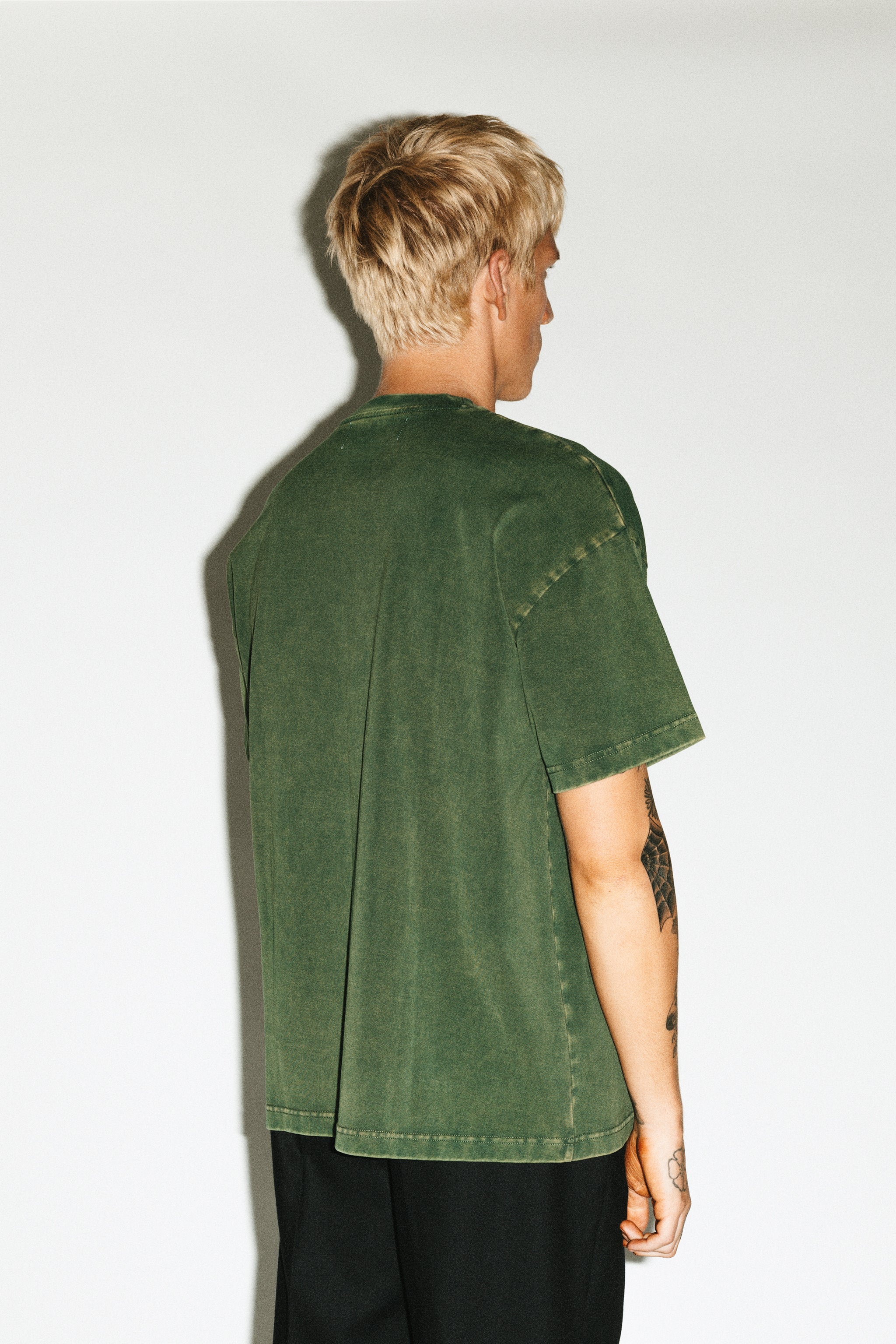 Sunfaded Moss