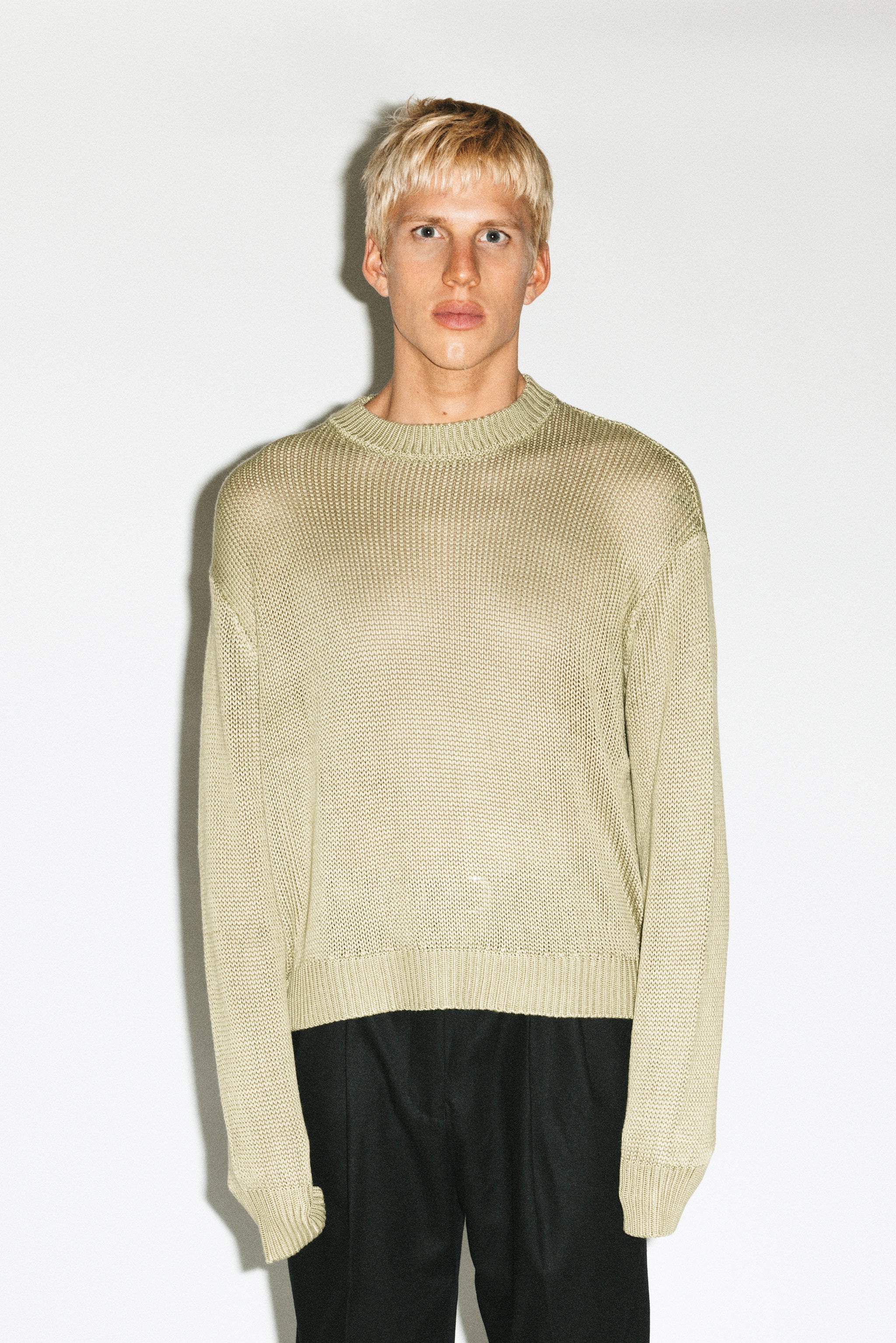 Fern