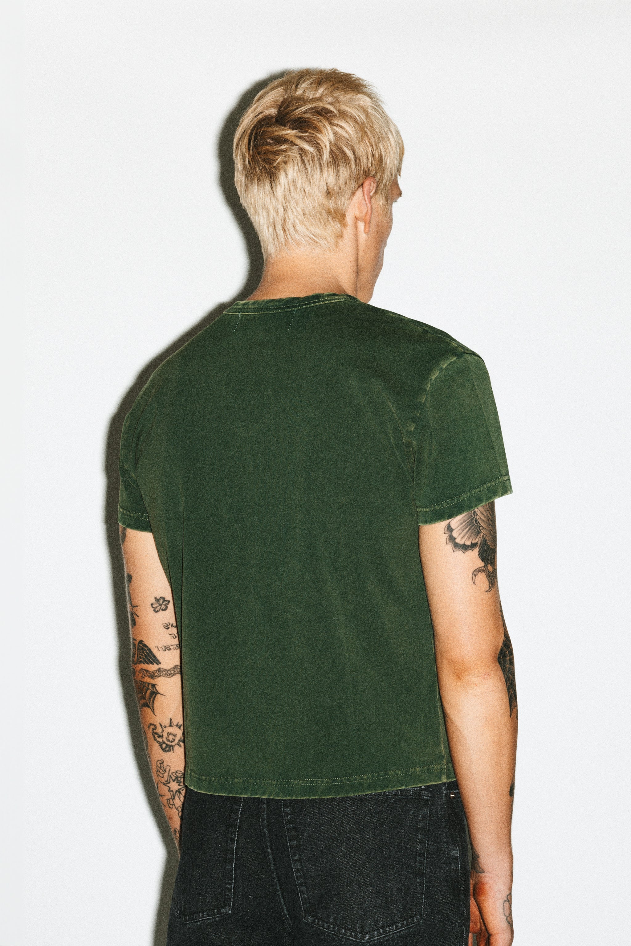 Sunfaded Moss