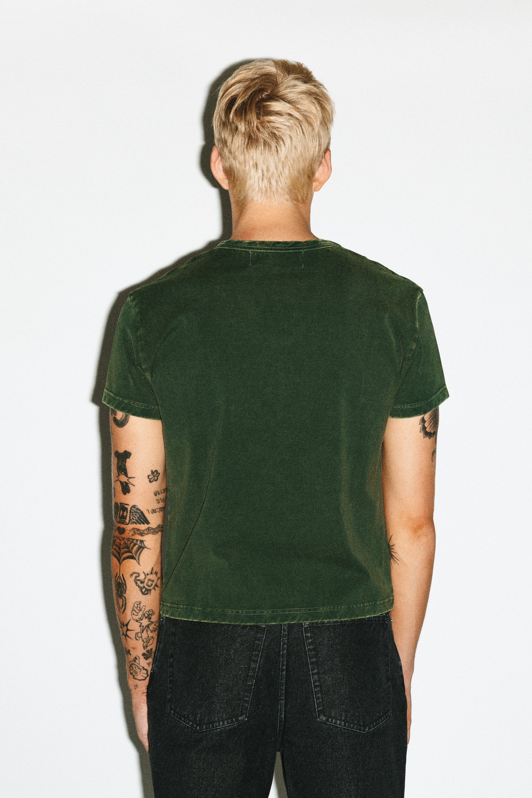 Sunfaded Moss